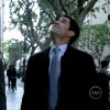 Is it a bird? Cold_Case_S04E19_lilly_004